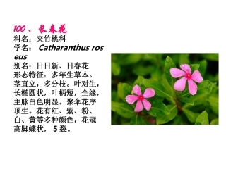 植物竞赛图100-130