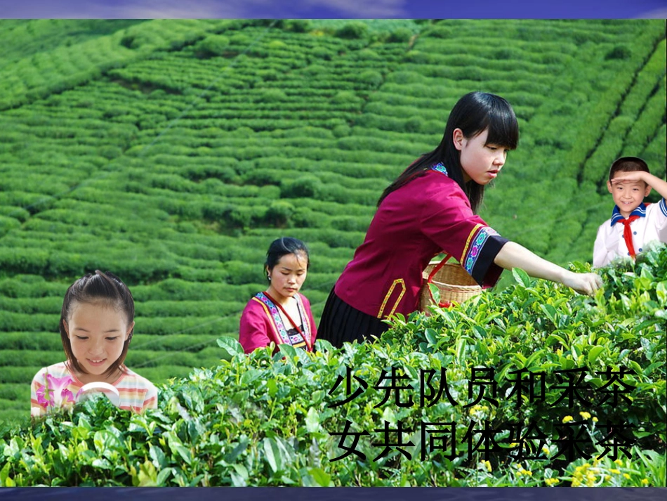 少先队员采茶歌_第3页