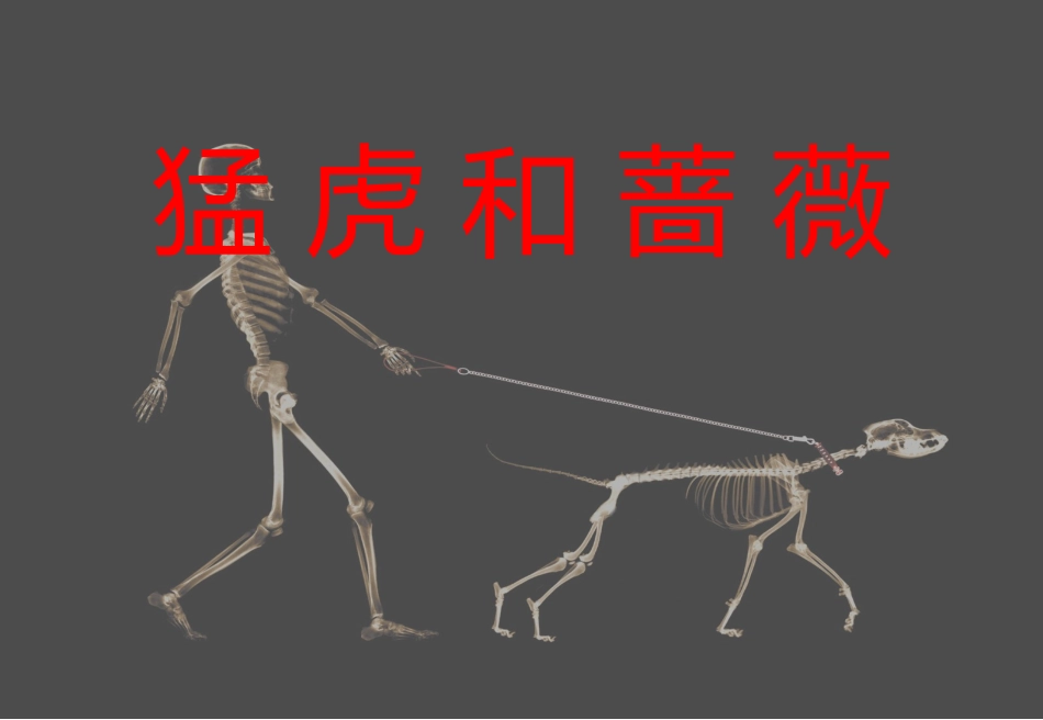 猛虎和蔷薇-余光中_第1页