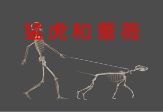 猛虎和蔷薇-余光中