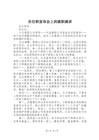 在任职宣布会上的就职演讲稿 (2)