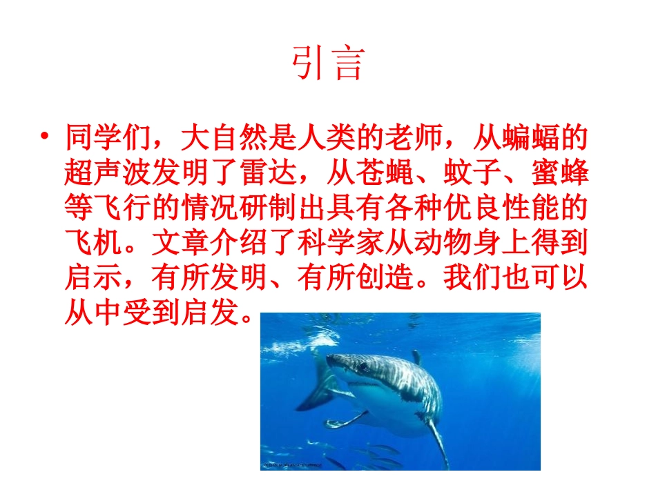 大自然的启示网页制作张小燕_第3页