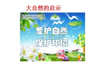 大自然的启示网页制作张小燕