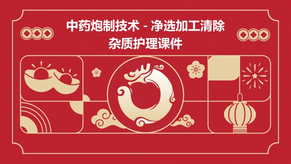 中药炮制技术 净选加工清除杂质护理课件_第1页