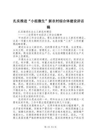 扎实推进“小组微生”新农村综合体建设讲话发言稿