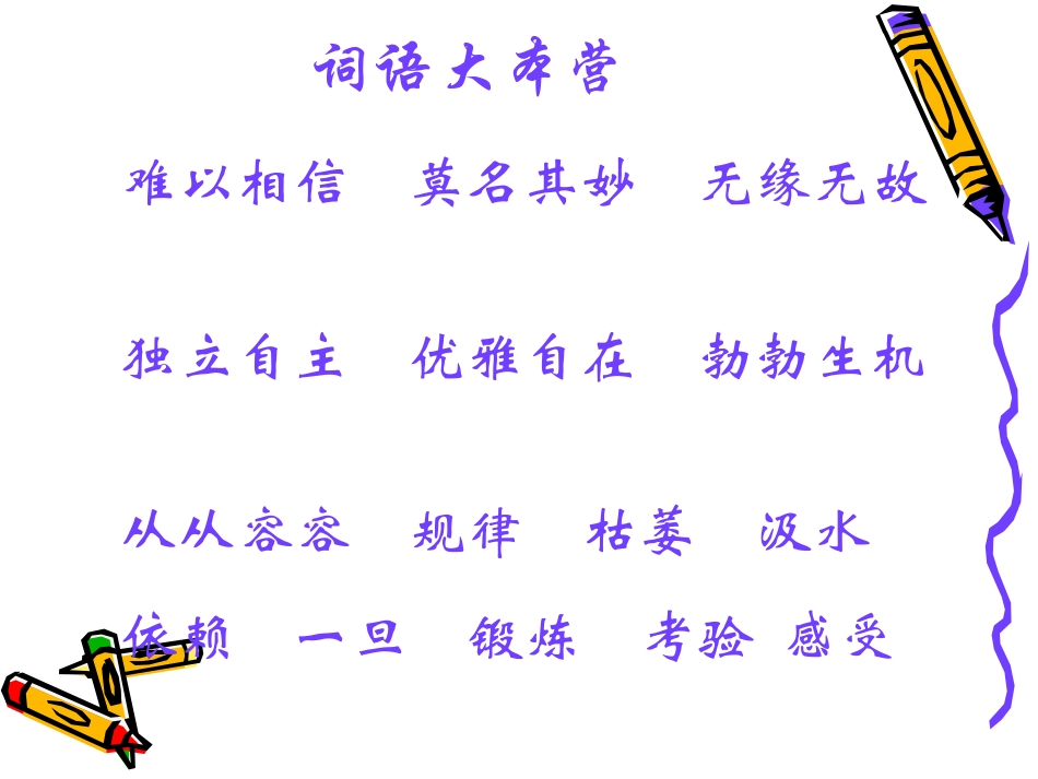 桃花心木 (3)_第3页