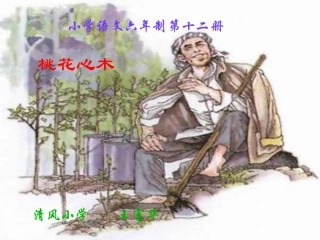 桃花心木 (3)
