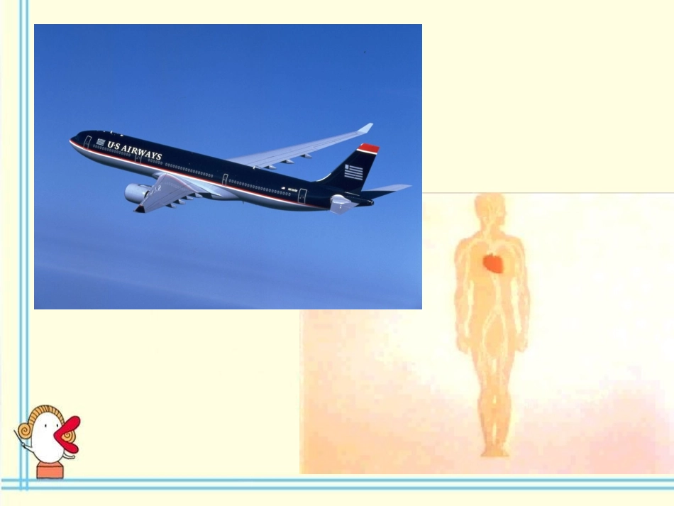 流动的组织-血液_第3页