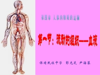 流动的组织-血液