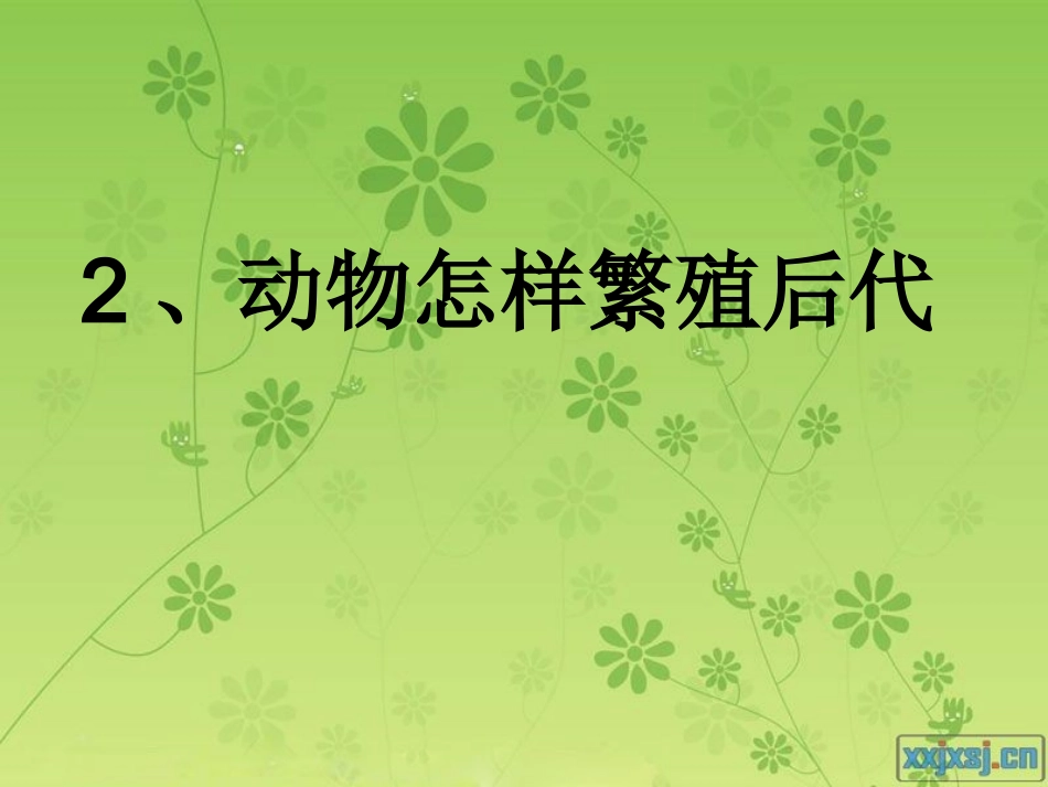 动物怎样繁殖后代_第1页