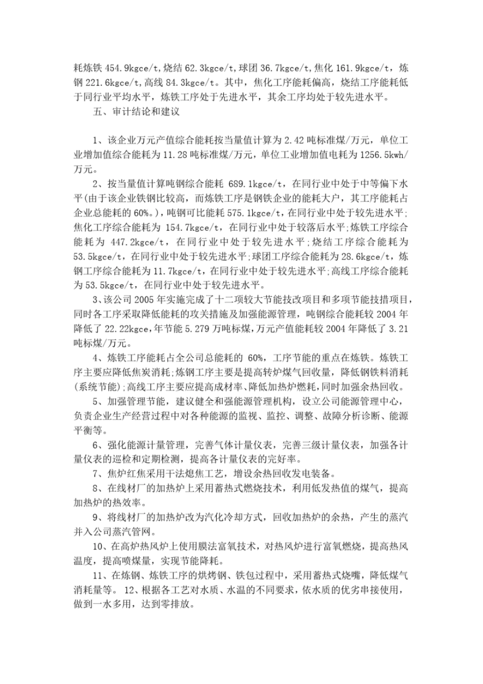 最新能源审计报告范文_第2页