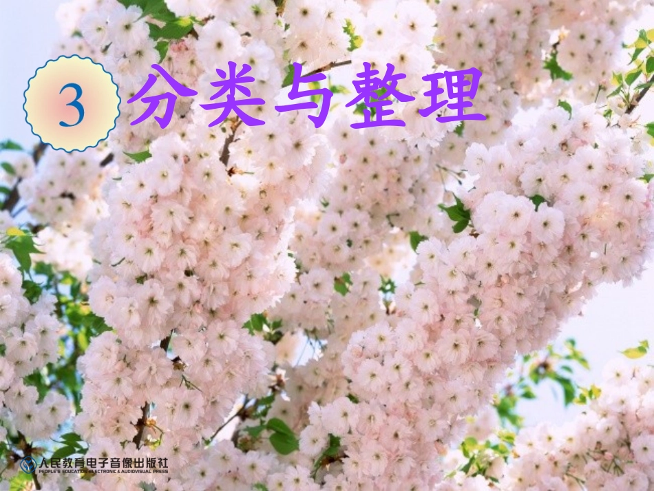 人教版一年级数学下-分类与整理_第1页