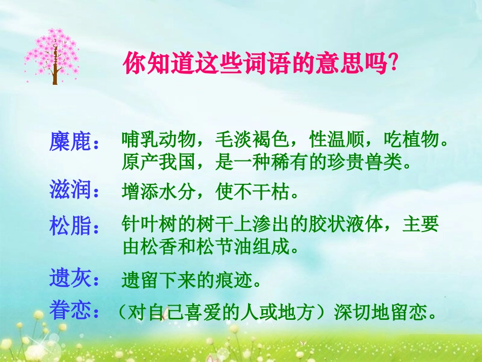这里的士地是神圣的_第3页