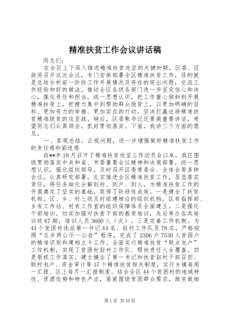 精准扶贫工作会议的讲话发言稿