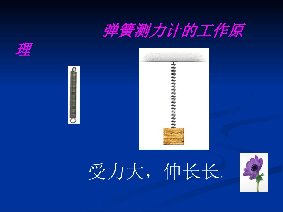 测量力的大小课件_第3页