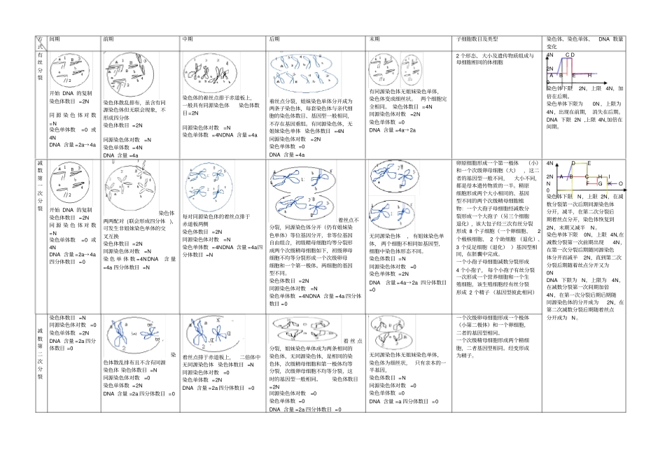 有丝分裂与减数分裂总结_第1页