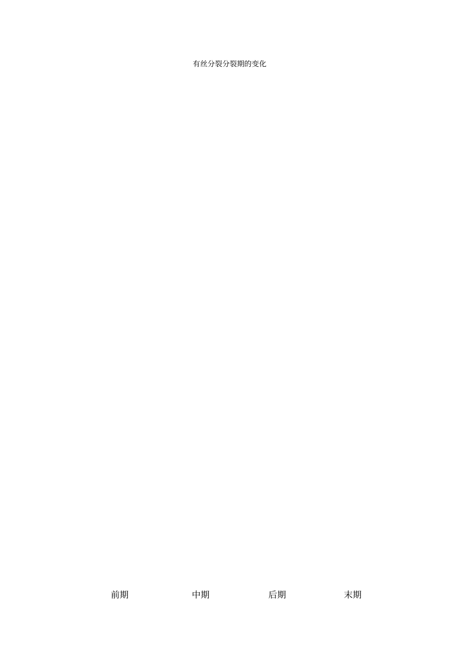 有丝分裂知识点总结_第1页