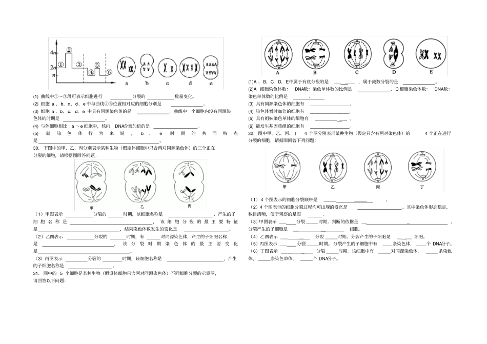 有丝分裂与减数分裂综合练习题及答案_第3页