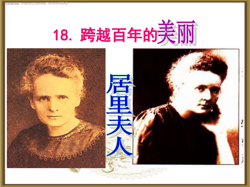 人教版小学语文六年级下册《跨越百年的美丽》（第二课时）课件_第1页