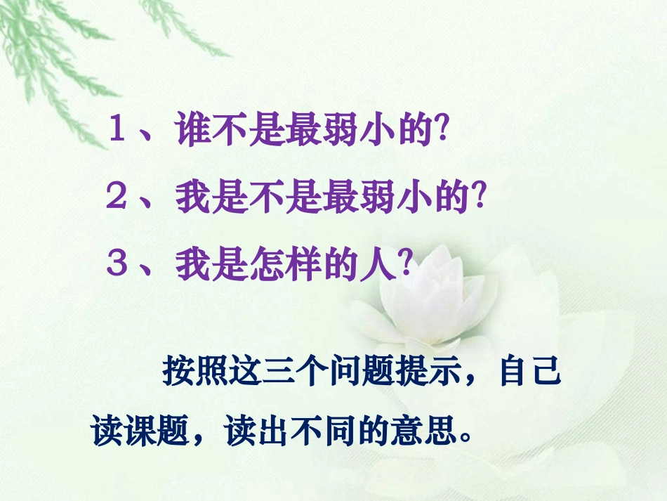 《我不是最弱小的》课件2_第2页