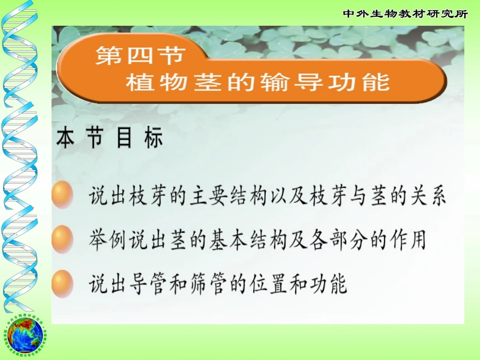 茎的输导作用_第1页
