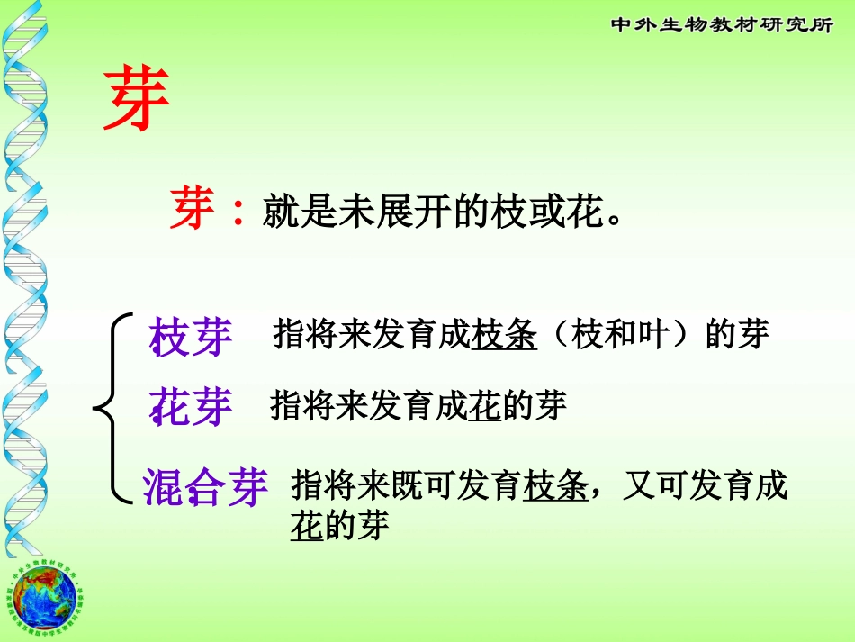 茎的输导作用_第3页