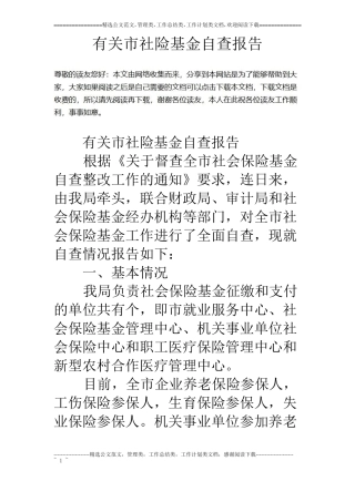 有关社险基金自查报告