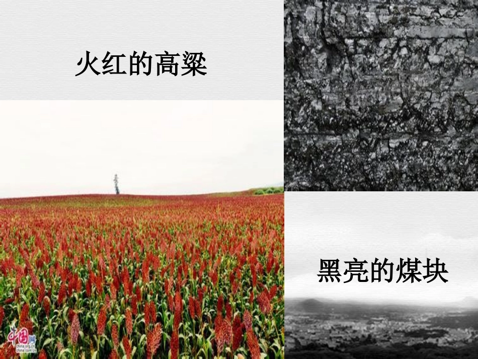 关楠土地的誓言课件_第2页