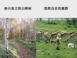 关楠土地的誓言课件