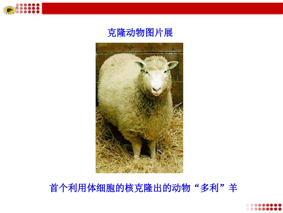 奇妙的克隆课件_第2页