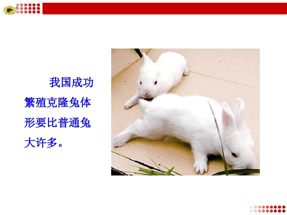 奇妙的克隆课件_第3页