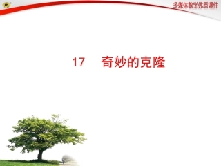 奇妙的克隆课件