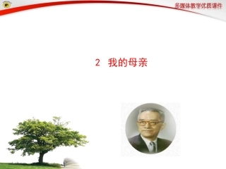 我的母亲 课件