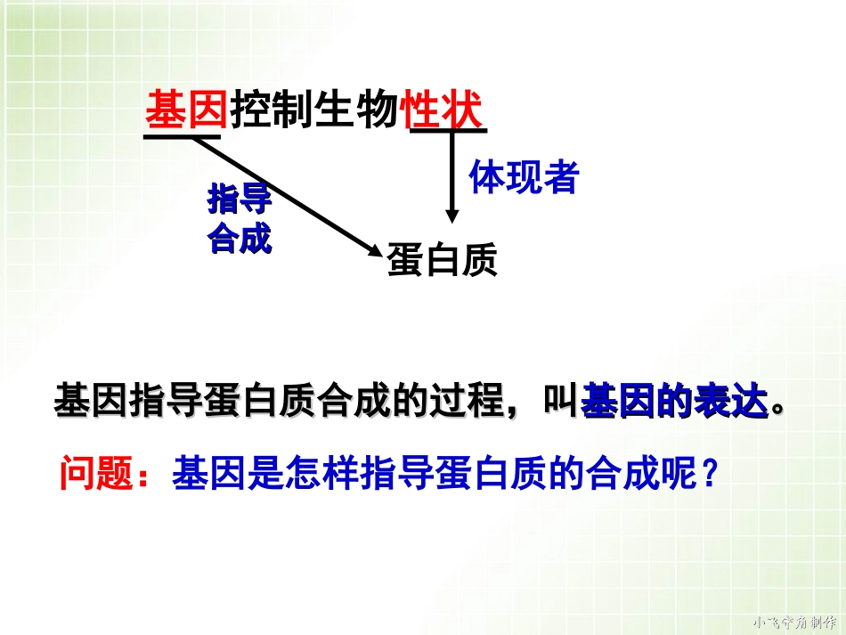 基因指导蛋白质的合成_第2页