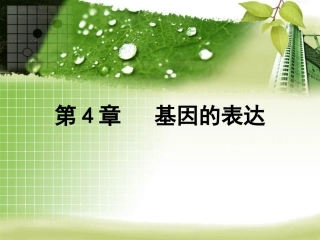 基因指导蛋白质的合成