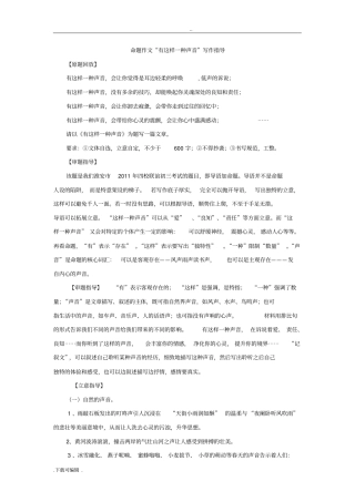 有这样一种声音写作指导