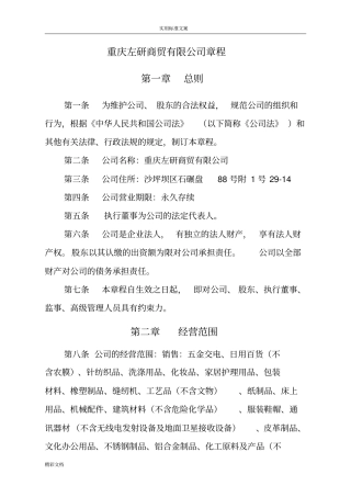 有限个人的章程范例