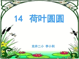 《荷叶圆圆》