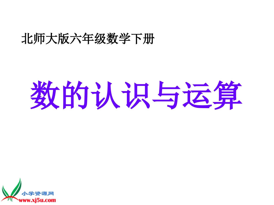 北师大版数学六年级下册《数的认识与运算》课件_第1页