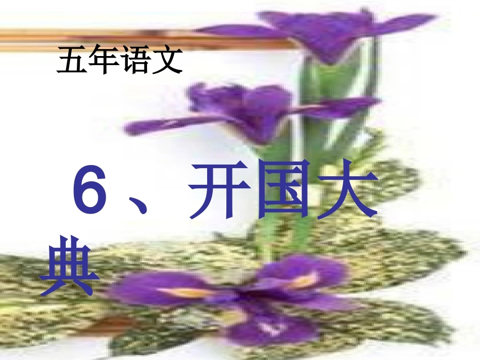 《开国大典》课件 (2)_第1页