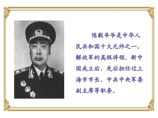 陈毅探母 (2)