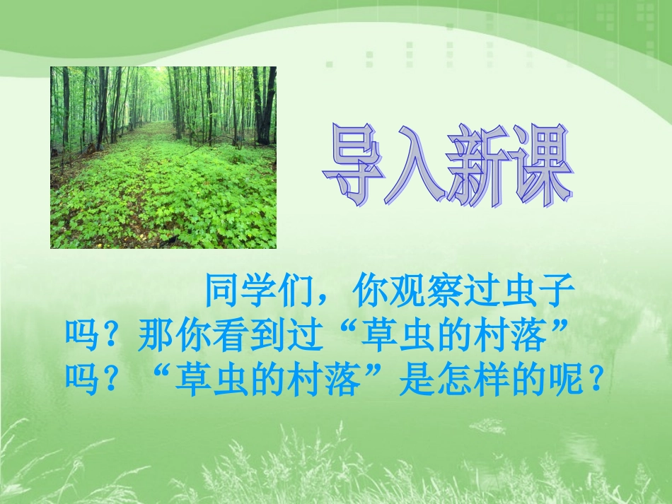 《草虫的村落》教学课件2_第1页
