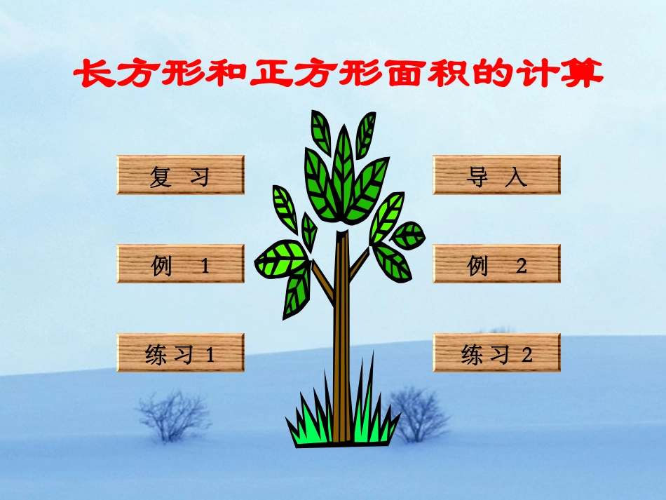 长方形和正方形面积的计算_第1页