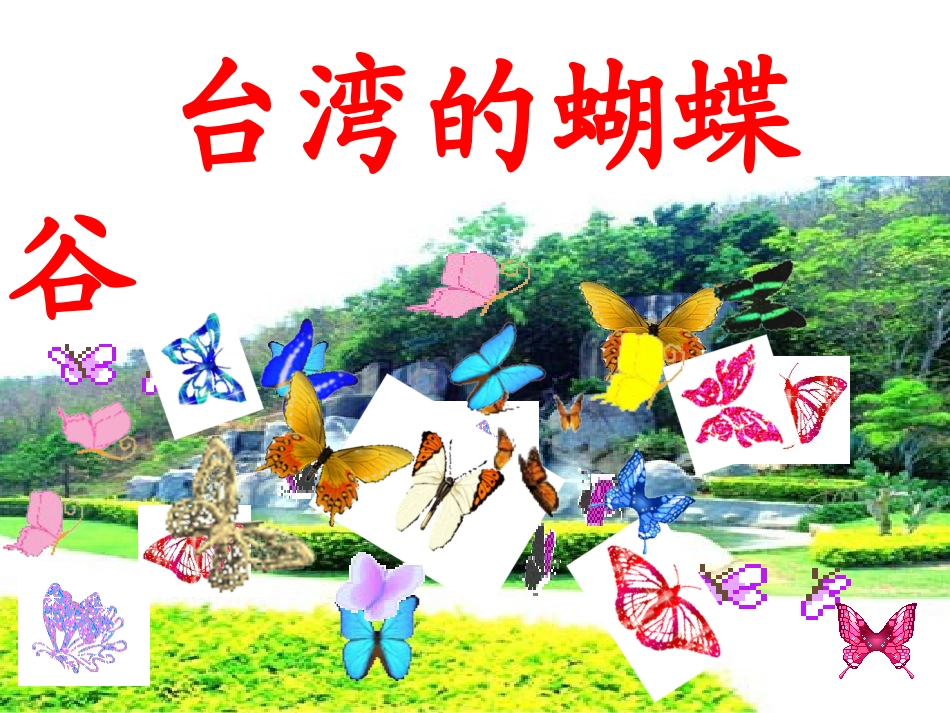 台湾的蝴蝶谷_第1页