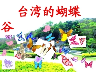 台湾的蝴蝶谷