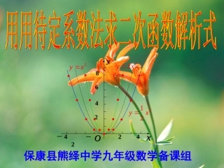 用待定系数法求二次函数（6）