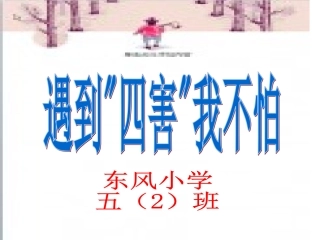 主题班会-四害