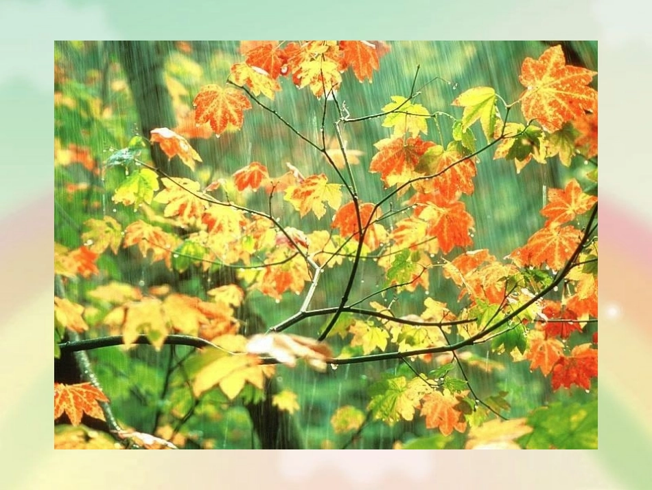《雨后》教学课件（课文讲解）_第2页