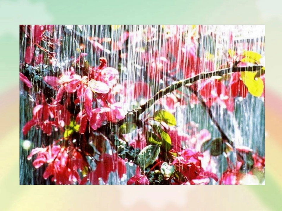 《雨后》教学课件（课文讲解）_第3页