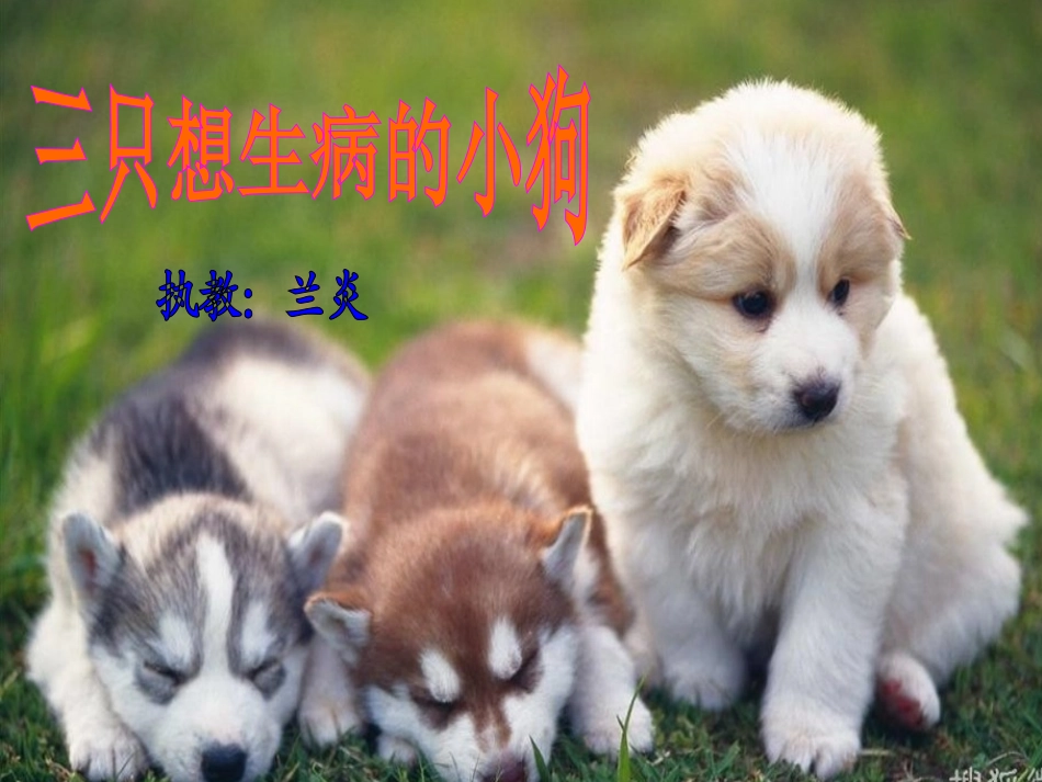 三只想生病的小狗_第1页